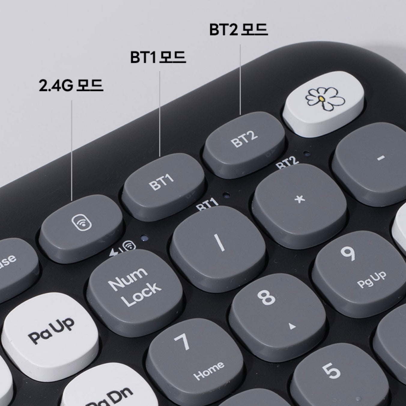 (PRE-ORDER) ZO&FRIENDS x ROYCHE - KEYBOARD