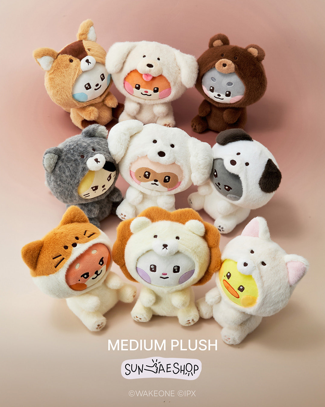 [PRE-ORDER] ZERONI X Line Friends Medium Plush - ZEROBASEONE