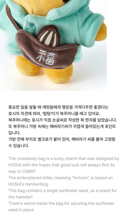 SEVENTEEN HOSHI Artist Made Collection Tamtam Plush Keyring